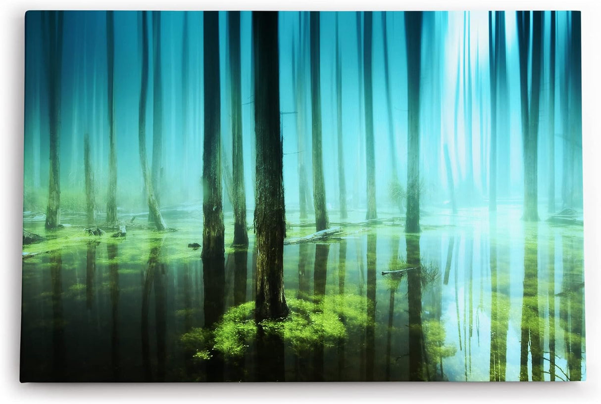 Paul Sinus Wandbild 120x80cm Wald Bäume See Wasserwald Kunstvoll Sonnenlicht Blau