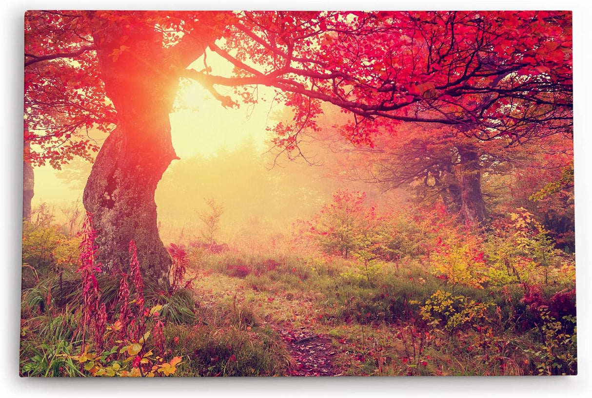 Wandbild 120x80cm Wald Herbst rote Blätter Natur Baum Eiche Sonnenschein