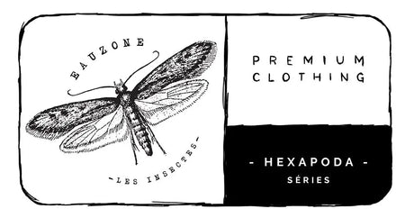 HEXAPODA-Karte.jpg