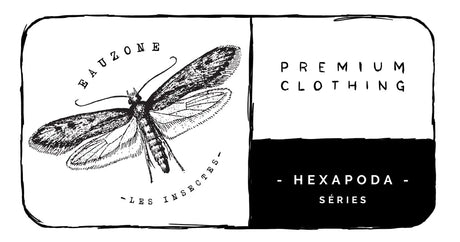 Shirts Hexapoda