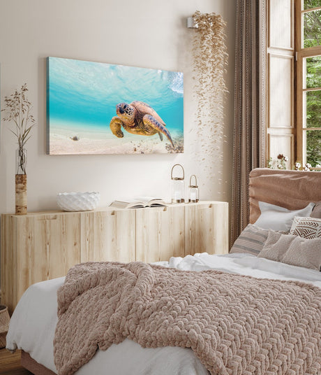 🐠 Wandbilder Unter Wasser – Faszination Tiefsee für deine Wand