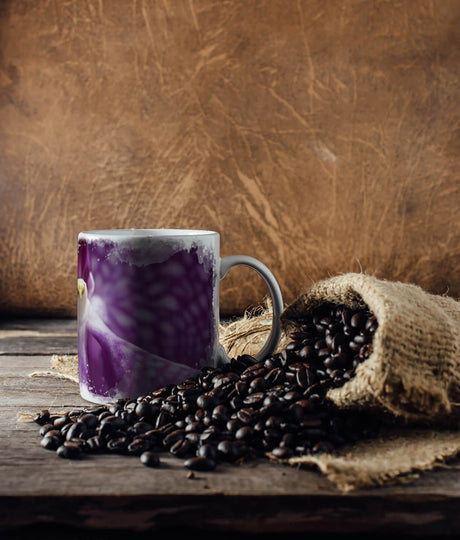 111314417_TASSE_1280x1280.jpg