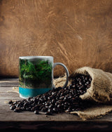 122075275_TASSE_1280x1280.jpg