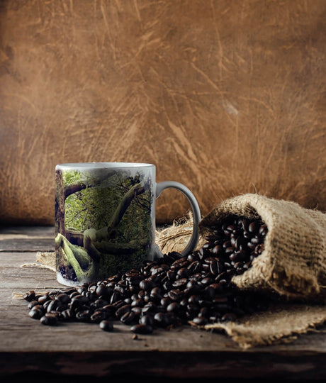 133219490_TASSE_1280x1280.jpg