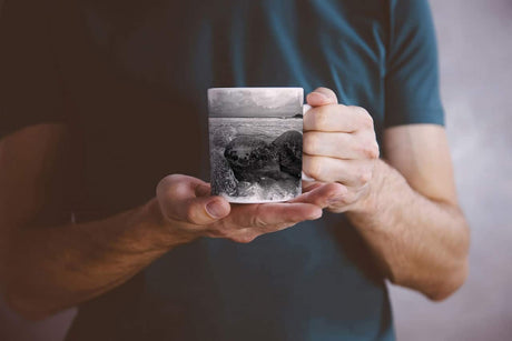 174332552_TASSES70vXuKEI2PQQ_1280x1280.jpg