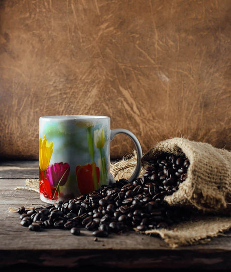 24206422_TASSE_1280x1280.jpg