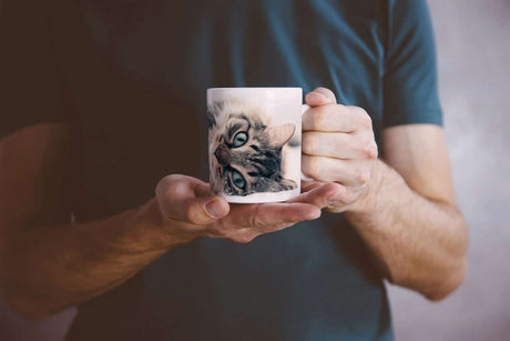 248998057_TASSE7UtqRmVJNeebI_1280x1280.jpg