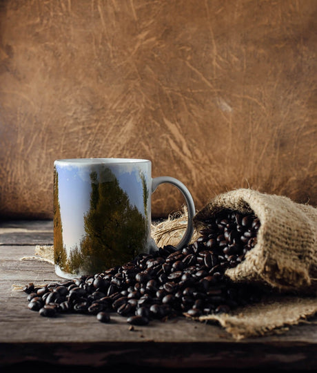 318061367_TASSE_1280x1280.jpg