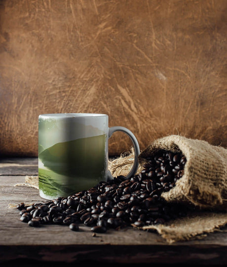 329598152_TASSE_1280x1280.jpg
