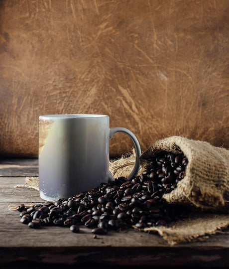 355856552_TASSE_1280x1280.jpg