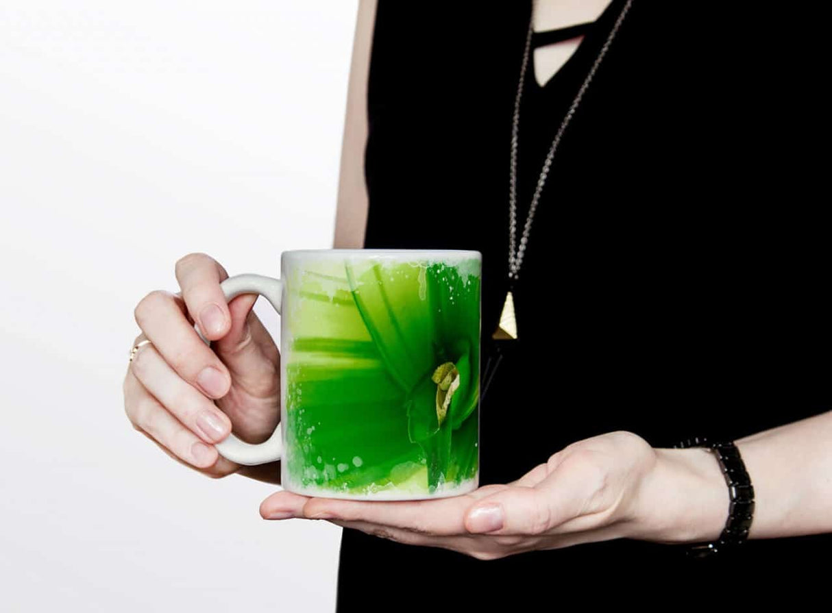 375066364_TASSE7eQINXs9T2MCQ_1280x1280.jpg