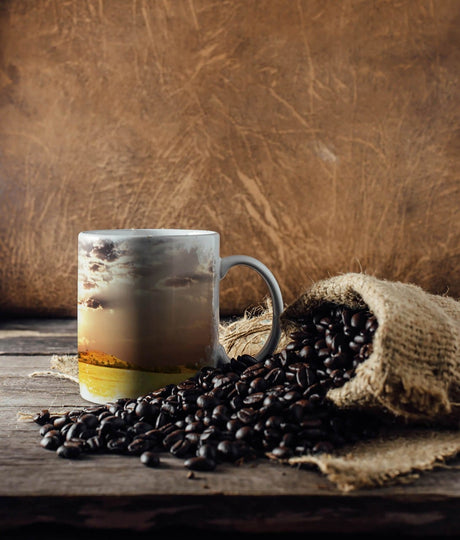 38565826_TASSE_1280x1280.jpg