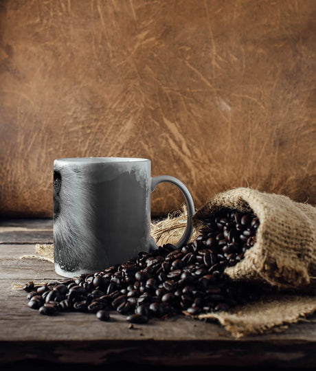 397791802_TASSE_1280x1280.jpg
