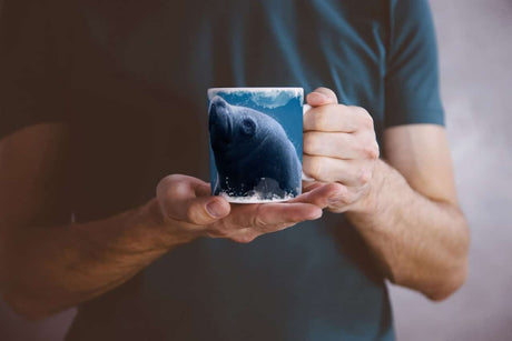 399655684_TASSE87xoAClAjWZrG_1280x1280.jpg