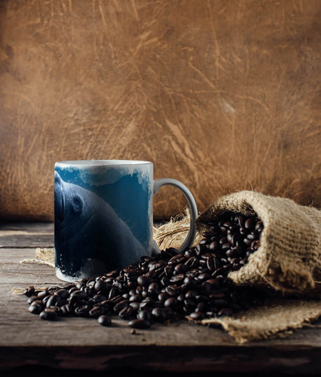 399655684_TASSE_1280x1280.jpg