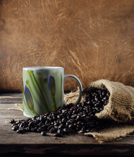 444951469_TASSE_1280x1280.jpg