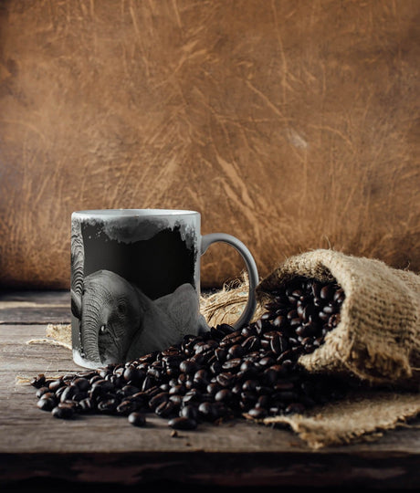 455068276_TASSE_1280x1280.jpg