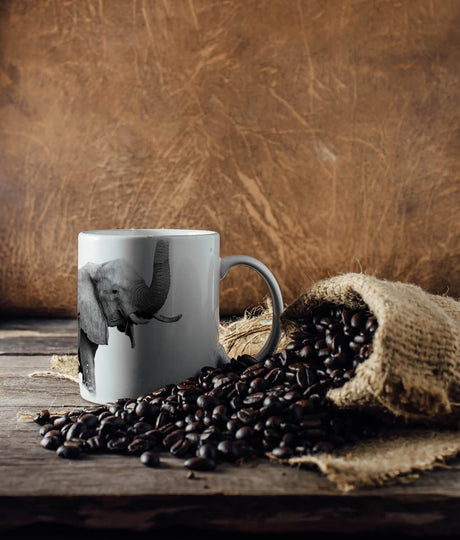 461744467_TASSE_1280x1280.jpg
