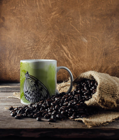 465345569_TASSE_1280x1280.jpg