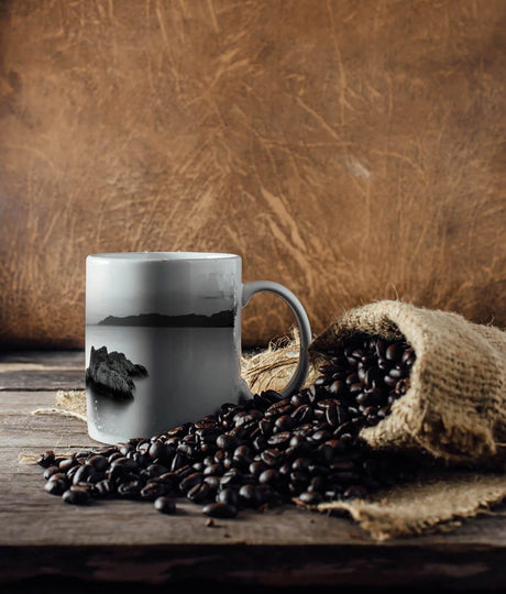 468271967_TASSE_1280x1280.jpg