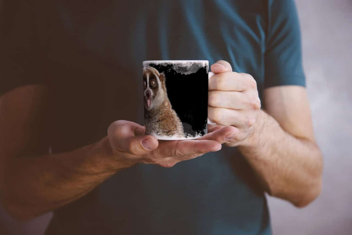 483407323_TASSE9hMAzHdI42gXz_1280x1280.jpg
