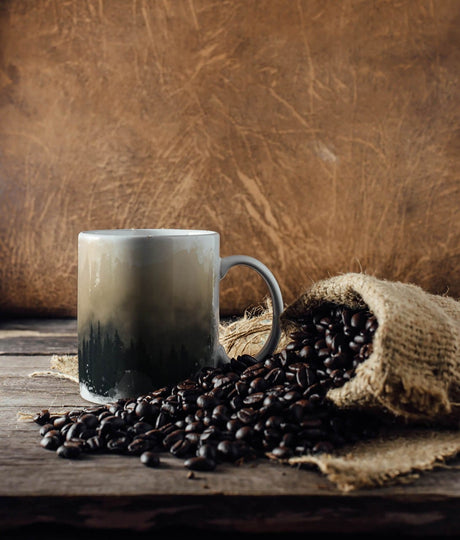 499956898_TASSE_1280x1280.jpg
