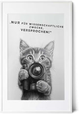 Paul Sinus Poster/Leinwandbild/Rahmenoption Lustiges Katzenbild – Witzige Klo-Deko fürs Gäste-WC – Perfekt für Humorvolle