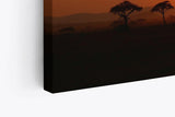 Paul Sinus Wandbild 120x80cm Afrikanische Landschaft Burkea Africana Bäume Sonnenuntergang