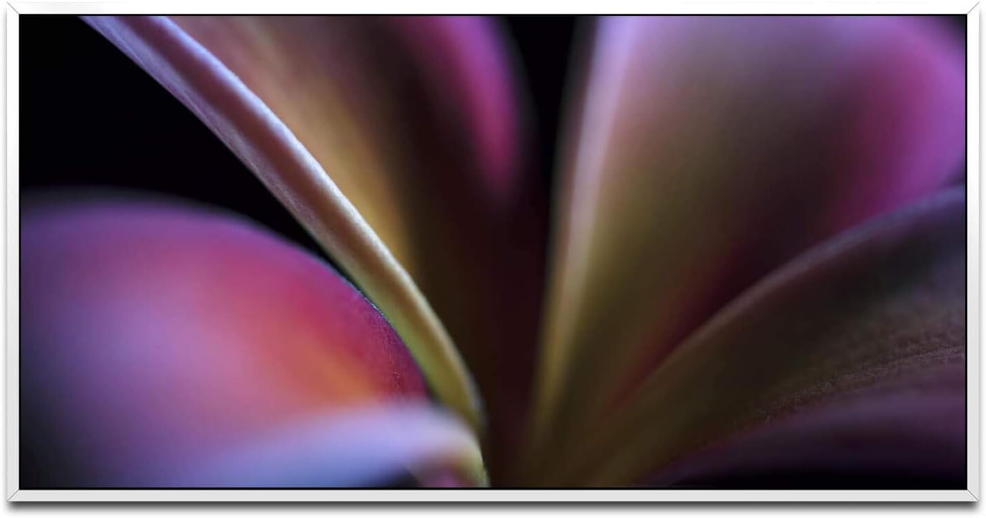 Pflanzen und Blumen ca. 130x70cm Wandbild inklusive Schattenfugenrahmen weiss - Panorama Leinwand Bild XXL Format Wandbilder Wohnzimmer Wohnung Deko Kunstdrucke