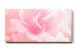 Sinus Art Wandbild 120x80cm Zarte Blütenanordnung mit weichem Licht – Symbol für Leichtigkeit und Schönheit