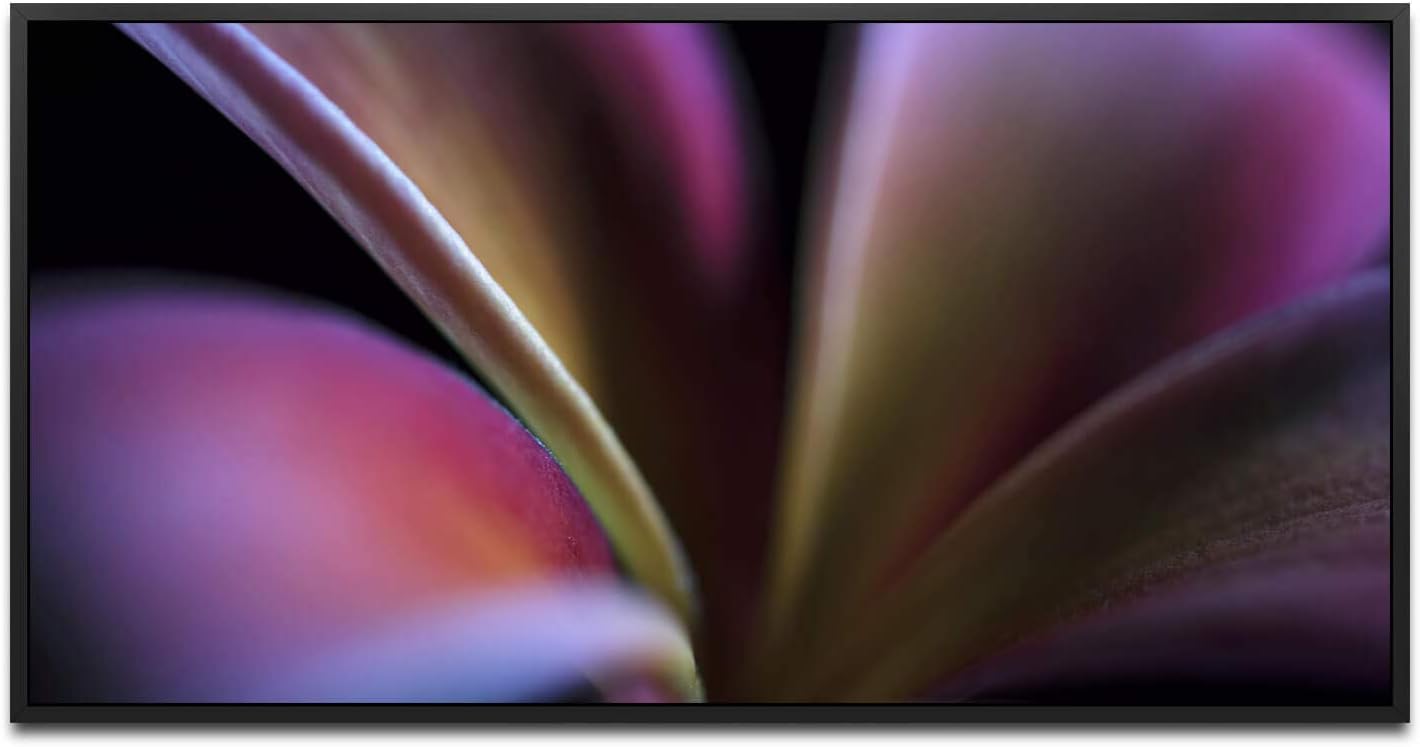 Pflanzen und Blumen ca. 130x70cm Wandbild inklusive Schattenfugenrahmen schwarz - Panorama Leinwand Bild XXL Format Wandbilder Wohnzimmer Wohnung Deko Kunstdrucke