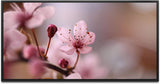 Blumen in rosa ca. 130x70cm Wandbild inklusive Schattenfugenrahmen schwarz - Panorama Leinwand Bild XXL Format Wandbilder Wohnzimmer Wohnung Deko Kunstdrucke
