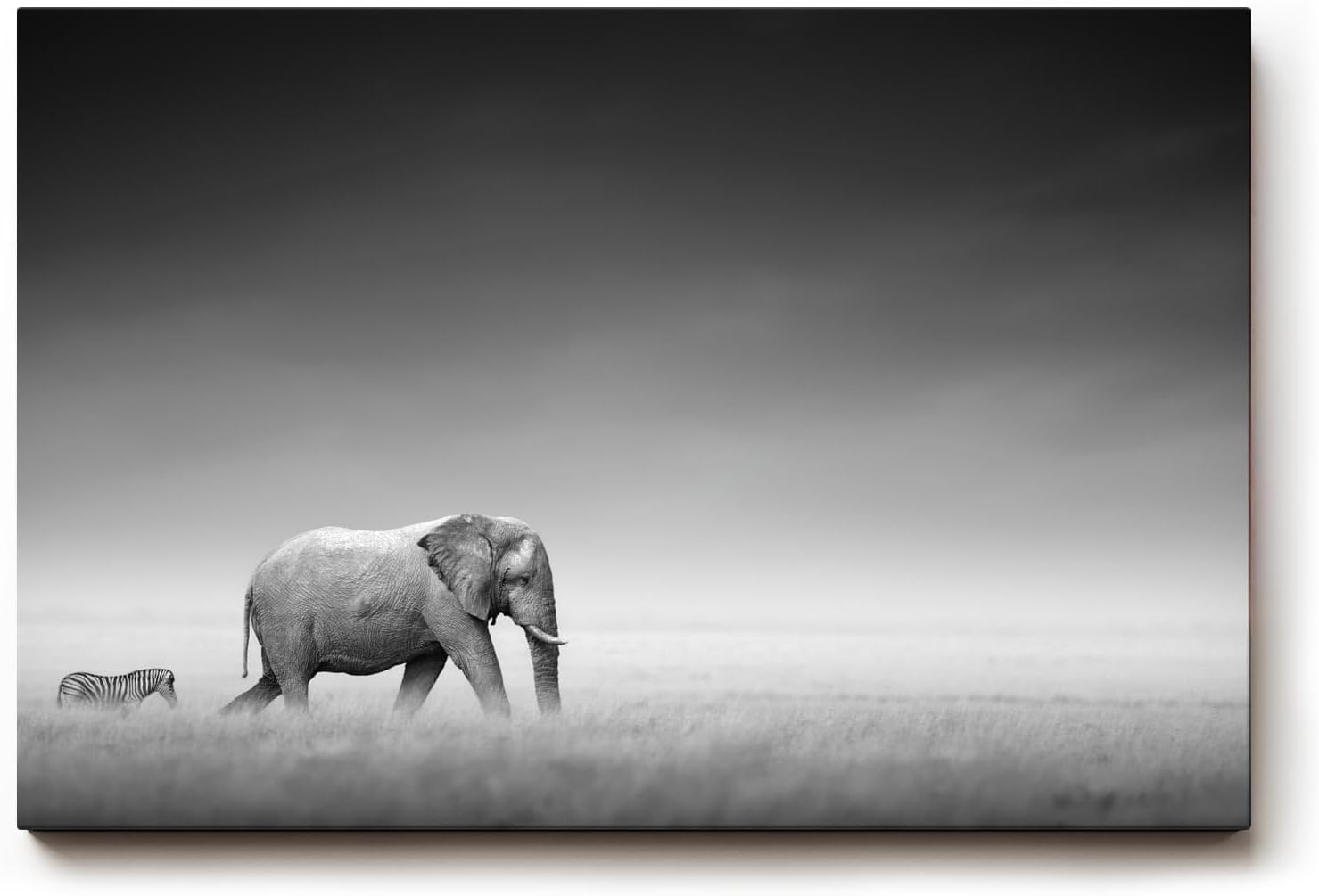 Sinus Art Wandbild 120x80cm Stimmungsvolle Szene mit Elefant und Zebra in weiter Graslandschaft als Symbol für Harmonie