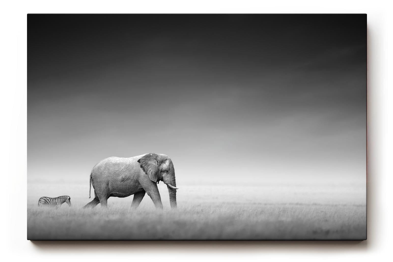 Sinus Art Wandbild 120x80cm Stimmungsvolle Szene mit Elefant und Zebra in weiter Graslandschaft als Symbol für Harmonie