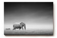 Sinus Art Wandbild 120x80cm Stimmungsvolle Szene mit Elefant und Zebra in weiter Graslandschaft als Symbol für Harmonie