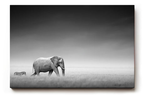Sinus Art Wandbild 120x80cm Stimmungsvolle Szene mit Elefant und Zebra in weiter Graslandschaft als Symbol für Harmonie