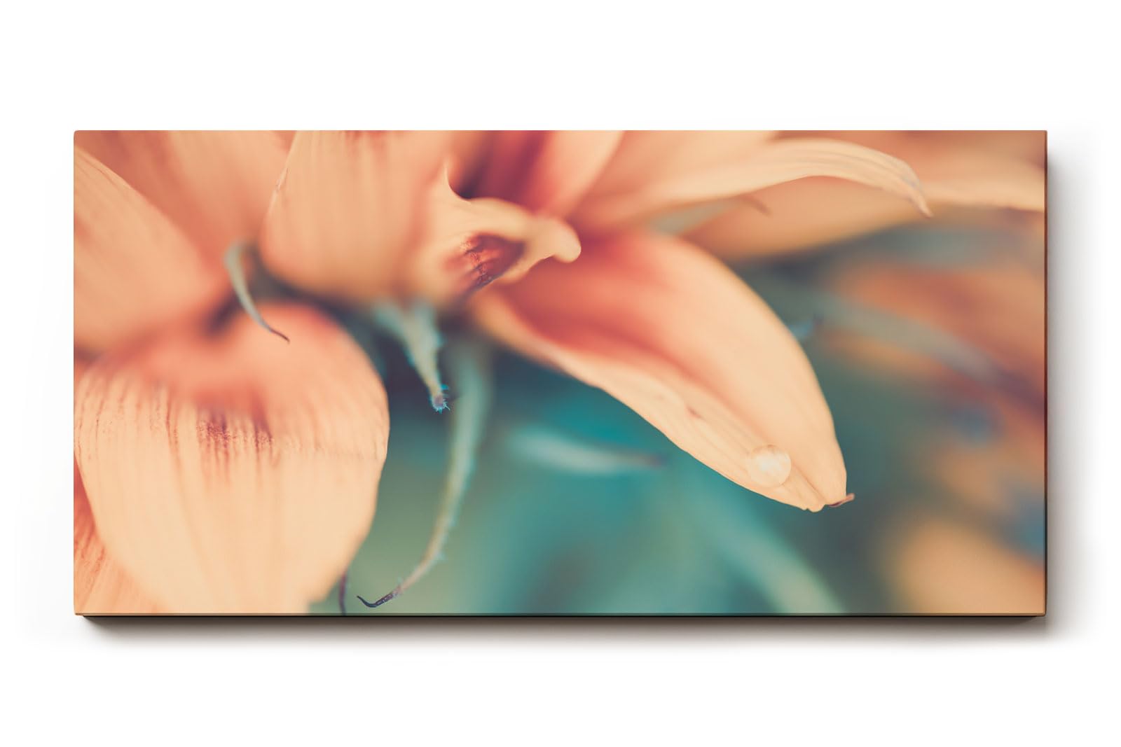Sinus Art Wandbild 120x80cm Weichgezeichnete Nahaufnahme einer pastellfarbenen Blüte mit romantischer Stimmung