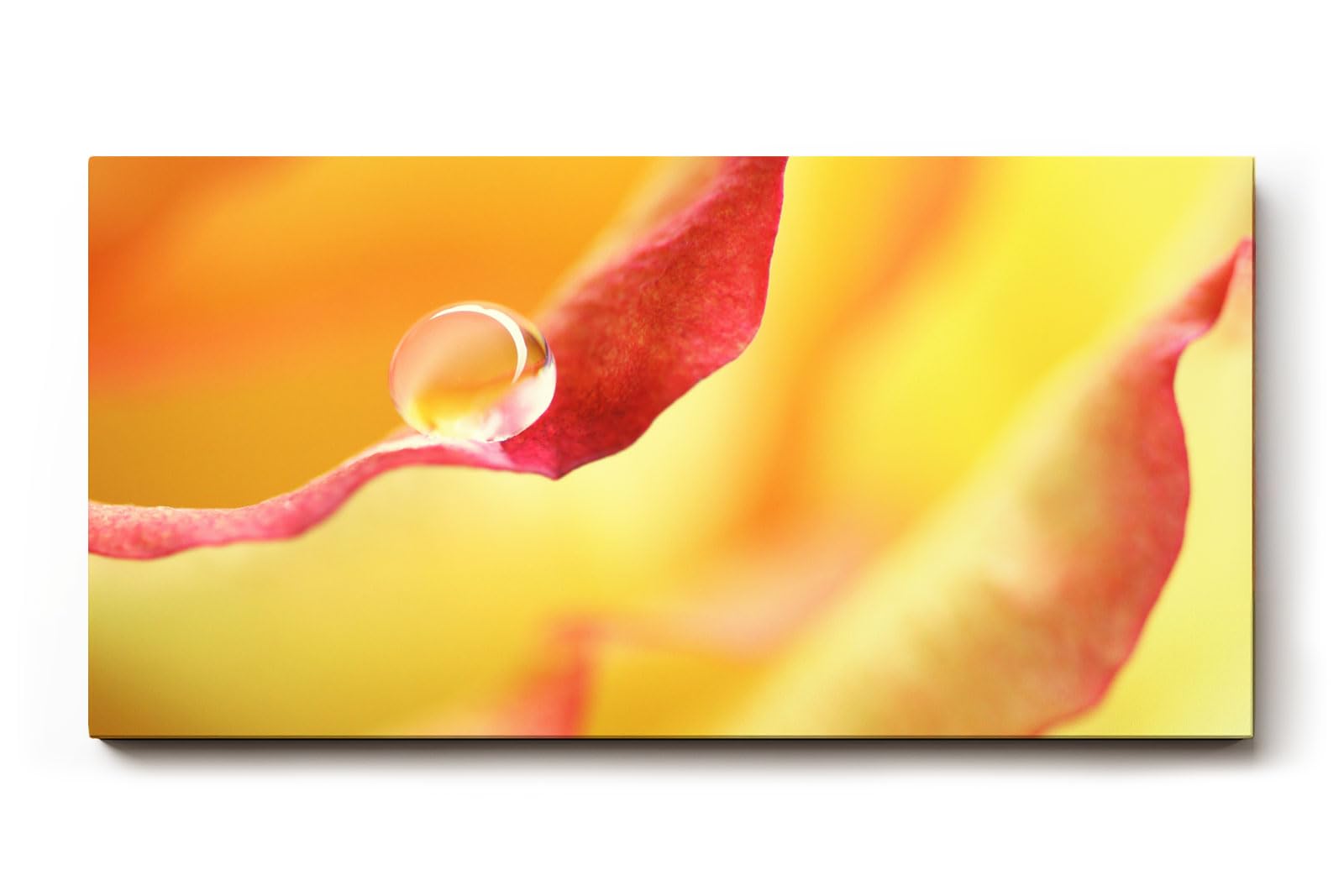 Sinus Art Wandbild 120x80cm Wassertropfen auf rotem Blütenrand – poetisches Motiv mit emotionaler Tiefe