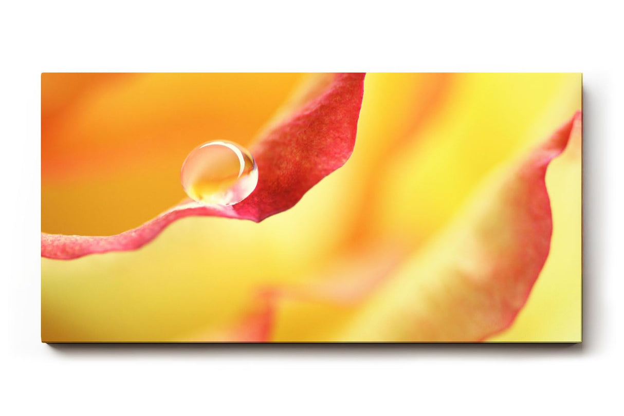 Sinus Art Wandbild 120x80cm Wassertropfen auf rotem Blütenrand – poetisches Motiv mit emotionaler Tiefe