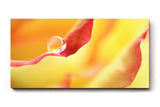 Sinus Art Wandbild 120x80cm Wassertropfen auf rotem Blütenrand – poetisches Motiv mit emotionaler Tiefe