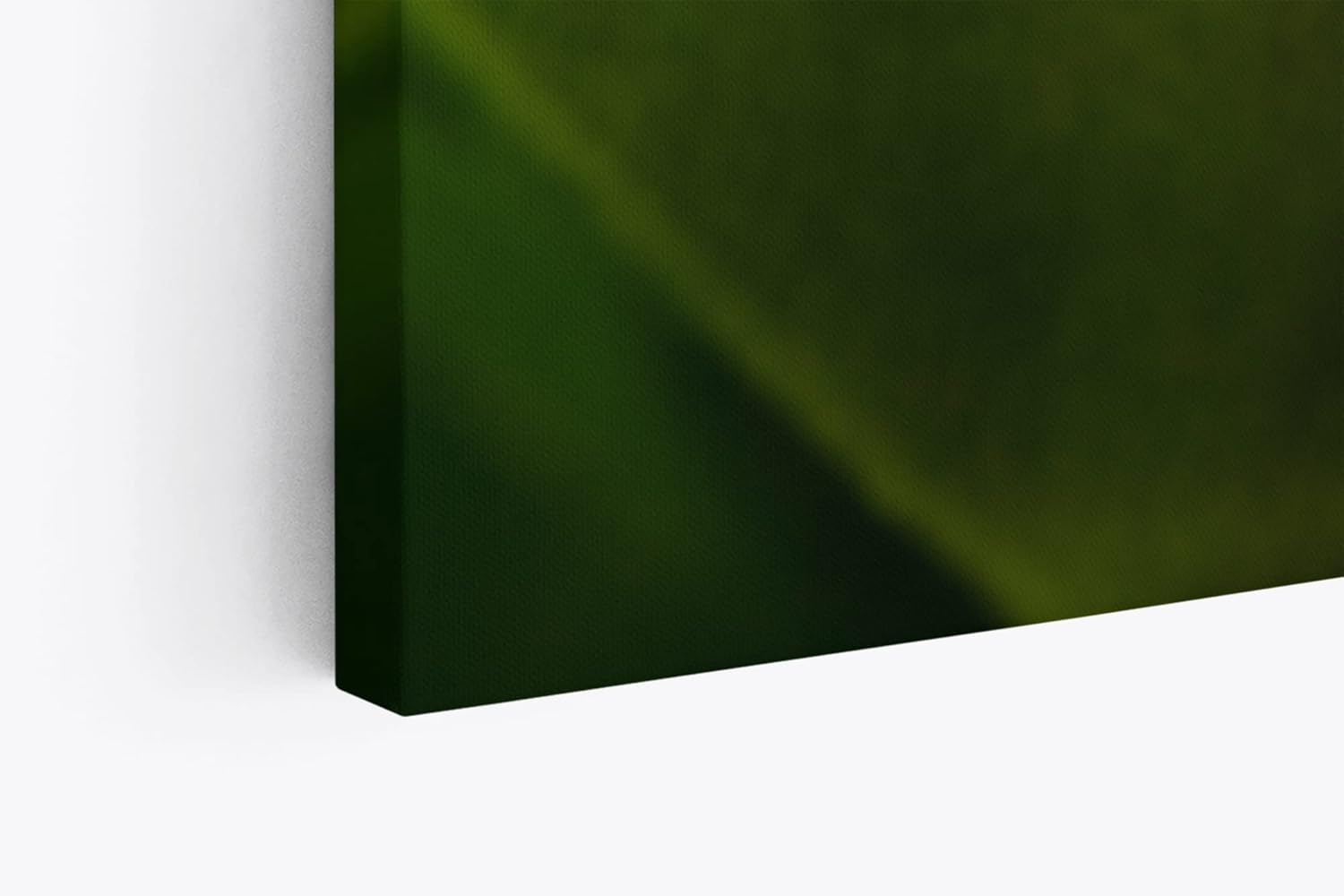 Paul Sinus Wandbild 120x80cm Frosch grünes Blatt Natur Grün Pflanze Fotokunst Regenwald