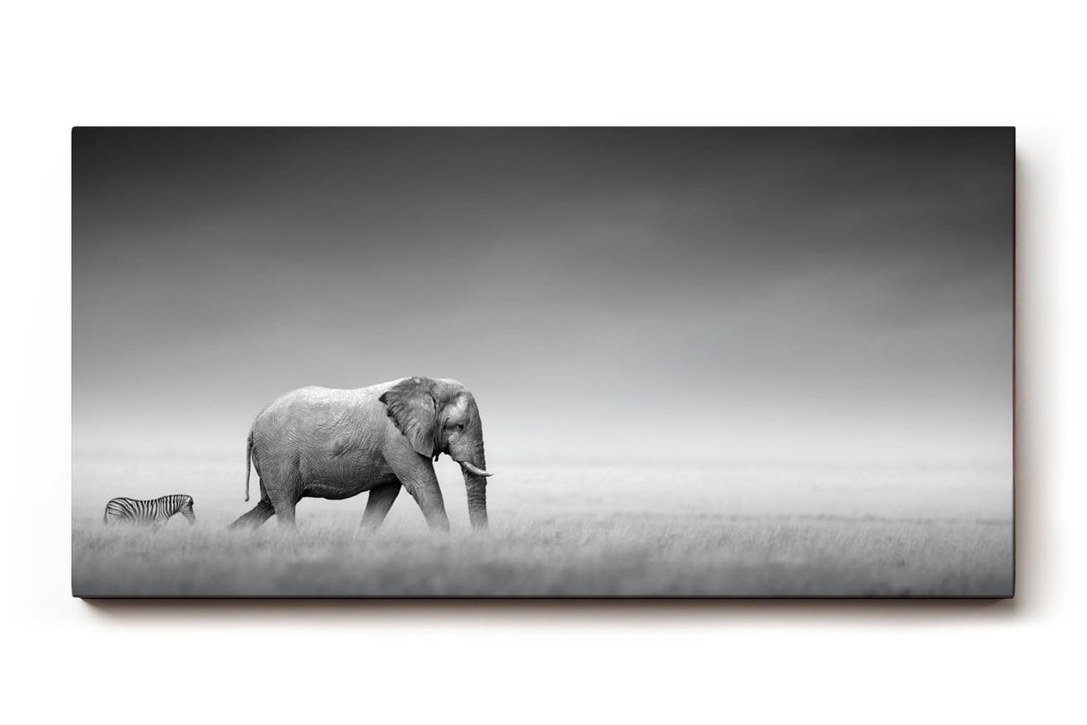 Sinus Art Wandbild 120x80cm Stimmungsvolle Szene mit Elefant und Zebra in weiter Graslandschaft als Symbol für Harmonie