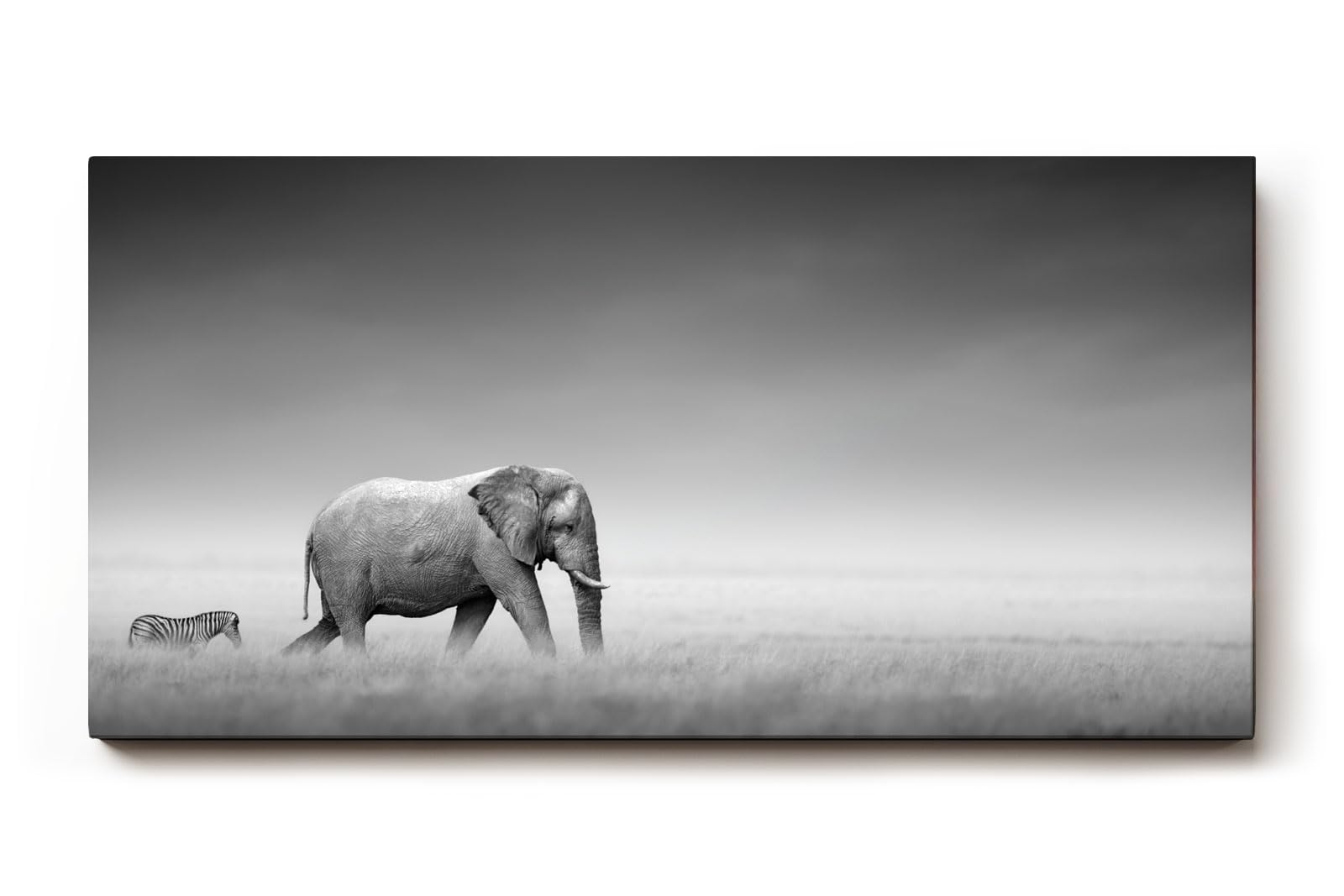 Sinus Art Wandbild 120x80cm Stimmungsvolle Szene mit Elefant und Zebra in weiter Graslandschaft als Symbol für Harmonie