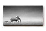 Sinus Art Wandbild 120x80cm Stimmungsvolle Szene mit Elefant und Zebra in weiter Graslandschaft als Symbol für Harmonie