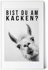 Paul Sinus Poster/Leinwandbild/Rahmenoption Lustiges Lamabild – Witzige Klo-Deko fürs Gäste-WC – Perfekt für Humorvolle