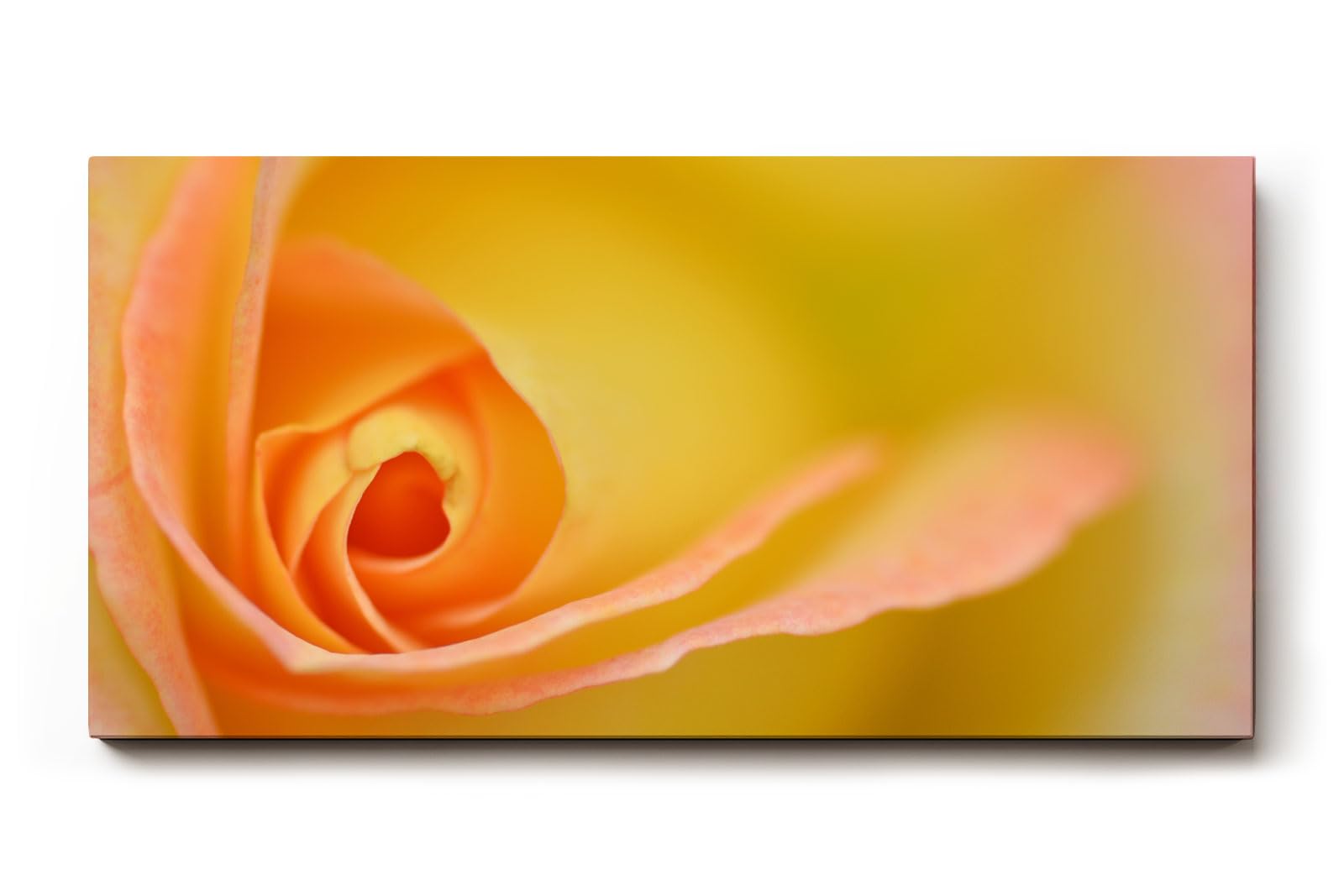 Sinus Art Wandbild 120x80cm Makroperspektive einer gelben Rose – Symbol für Freude, Wärme und Sanftheit
