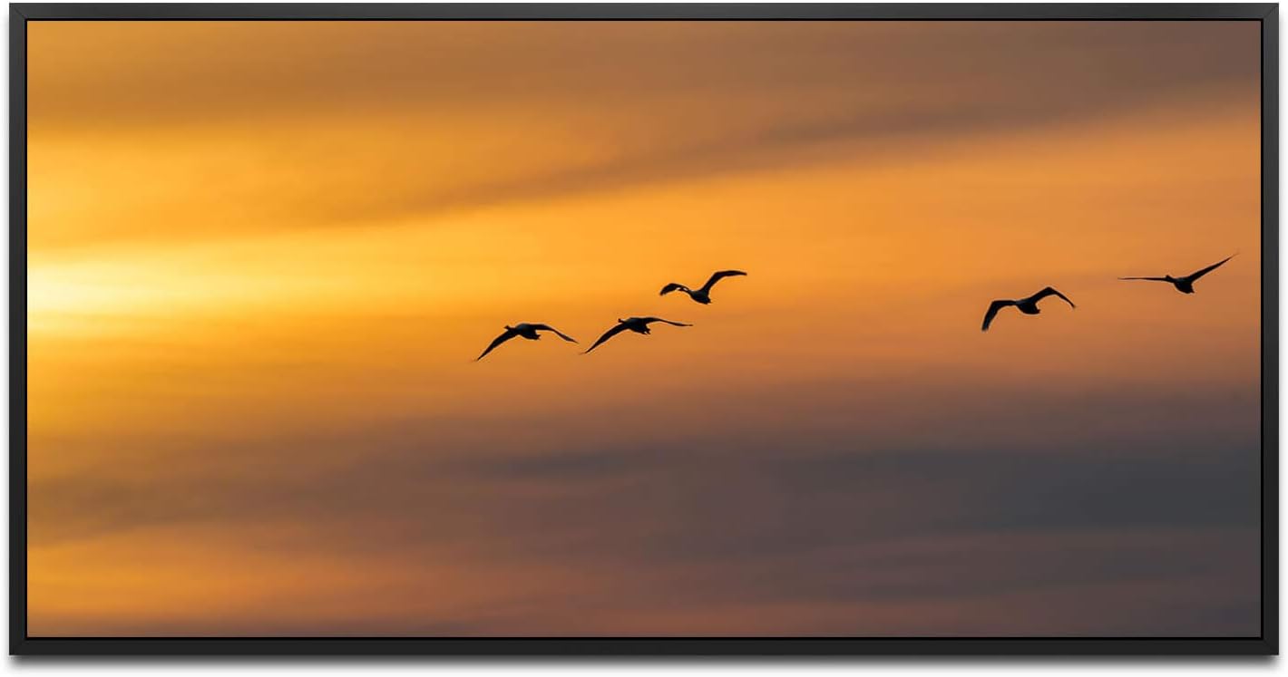 Vögel im Himmel ca. 130x70cm Wandbild inklusive Schattenfugenrahmen schwarz - Panorama Leinwand Bild XXL Format Wandbilder Wohnzimmer Wohnung Deko Kunstdrucke