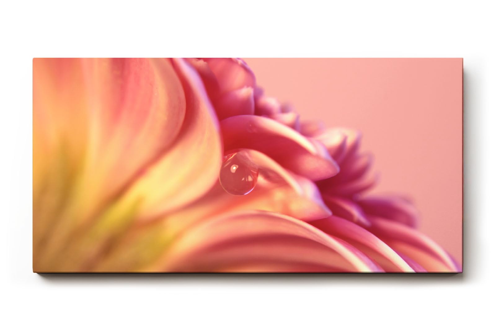 Sinus Art Wandbild 120x80cm Zartrosa Blütenstruktur mit transparentem Tautropfen – ruhig, romantisch und poetisch