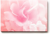 Sinus Art Wandbild 120x80cm Zarte Blütenanordnung mit weichem Licht – Symbol für Leichtigkeit und Schönheit