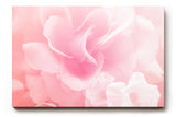 Sinus Art Wandbild 120x80cm Zarte Blütenanordnung mit weichem Licht – Symbol für Leichtigkeit und Schönheit